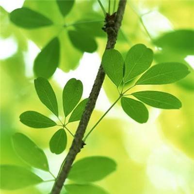 半岛平台官方网站入口