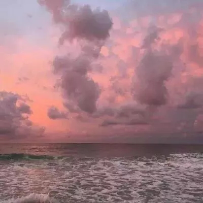 ayx在线登录入口截图