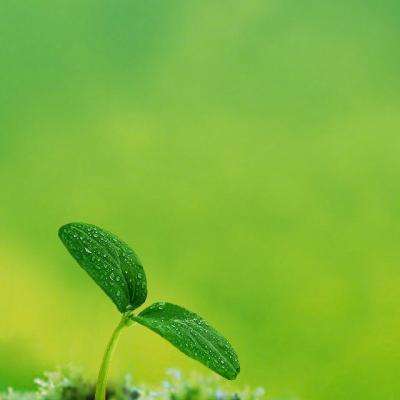 澳门一码一肖一特一中手机app下载