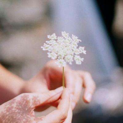 pg娱乐电子游戏官网官方入口