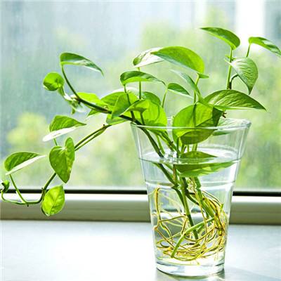 365体育亚洲官方入口app下载