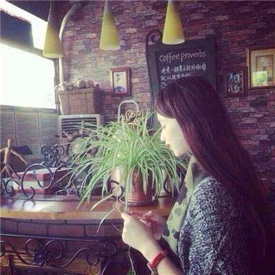 yabo官网网页版手机app下载